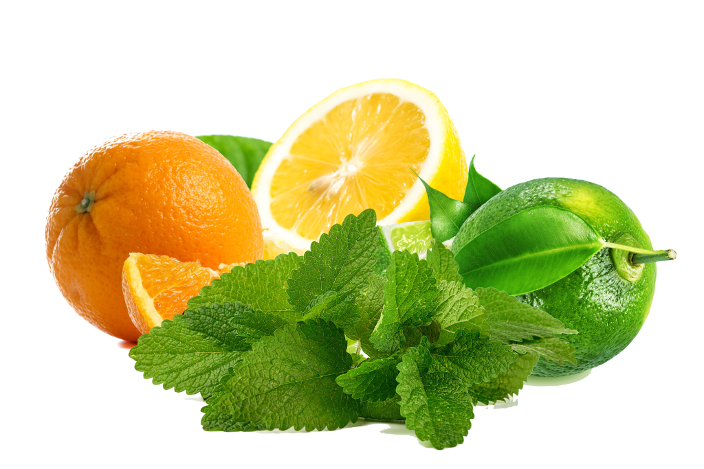 diet-for-seniors-elderly-exercise-and-nutrition-tips-and-planning