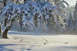 winter safety tips for seniors and caregivers